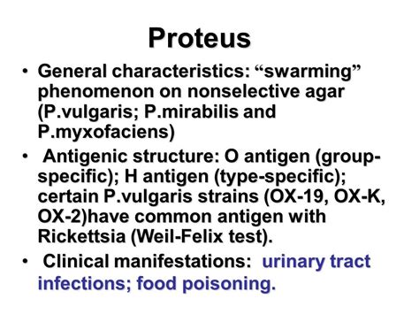 proteus mirabilis|Proteus mirabilis Infections: Understanding the Causes  .